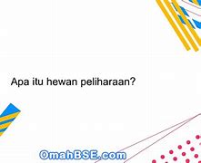 Google Hewan Itu Terbuat Dari Apa